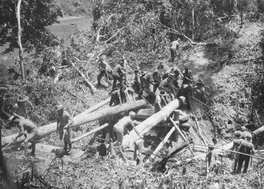 126TH Infantry in the Australian Zone During the Battle of Buna